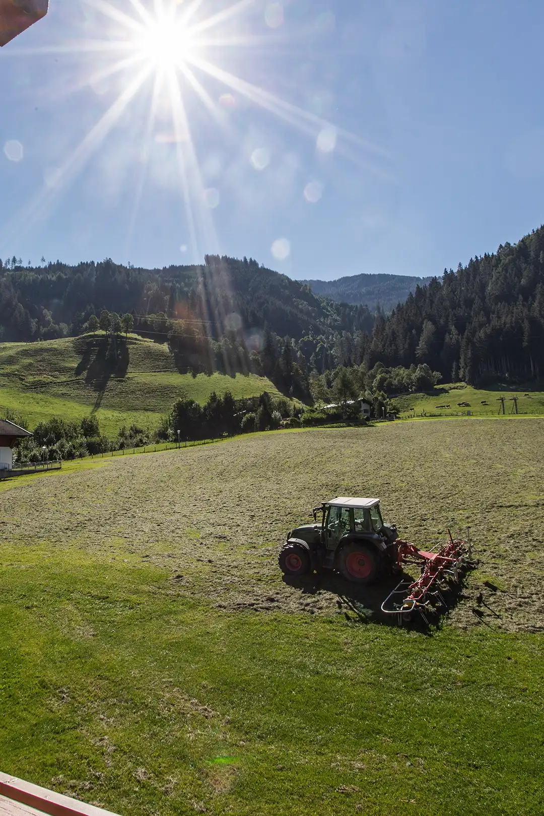Der von Bergen und Wiesen umgebene Oberlehenhof ist ein familiengeführter Bio-Bauernhof in ruhiger Lage in Kaprun.